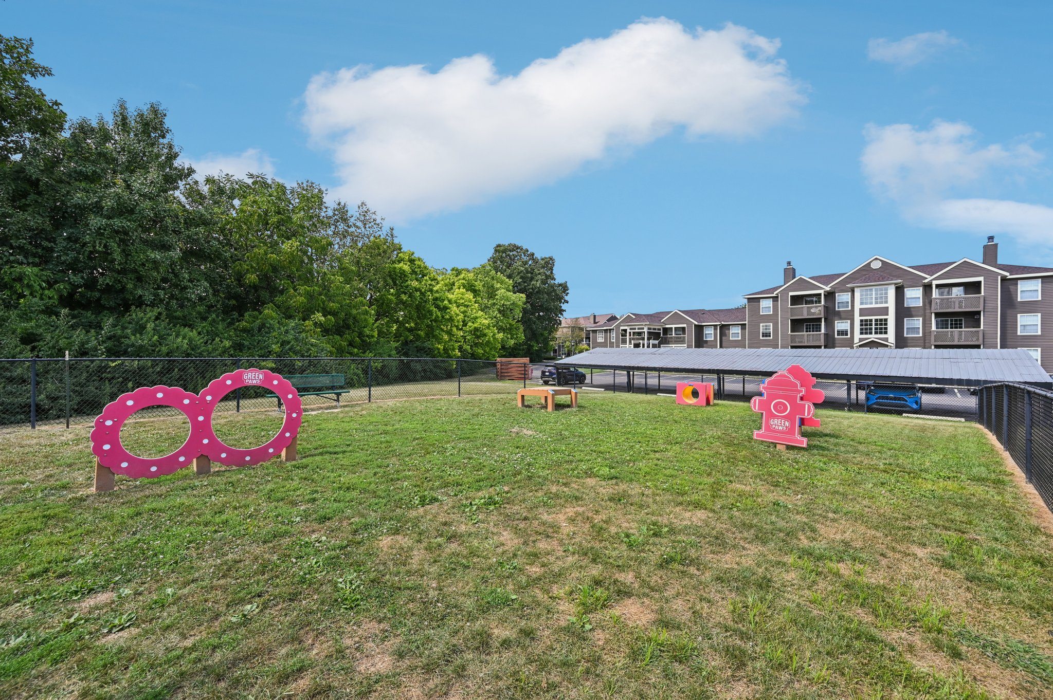 community dog park